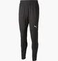 Штаны мужские Puma Teamcup Training Pants Black 658369-003