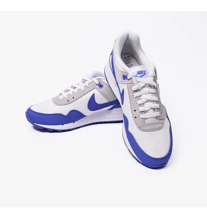 Кроссовки мужские Nike Air Pegasus 89 White FN3415-100