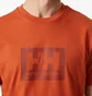 Футболка чоловіча Helly Hansen Box T Orange 53285-179