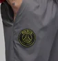 Штани чоловічі Nike Paris Saint-Germain Grey Dv0617-014