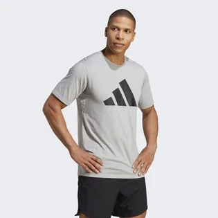 Футболка чоловіча Adidas Train Essentials Feelready Logo Training Tee Grey Ib8276