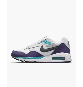 Кроссовки женские Nike Womens Shoes White/Violet 511417-153
