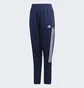 Штани дитячі Adidas Tiro 21 Track Pants Blue Gk9666
