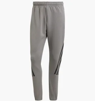 Штаны мужские Adidas Future Icons 3-Stripes Sportswear Grey IW8535