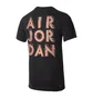 Футболка чоловіча Air Jordan M J Dfct Air Perf Gfx Crew Black CZ8087-010