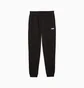Спортивный костюм мужской Puma Essentials No. 1 Logo Black 686776-01__686785-01