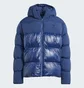 Пуховик чоловічий Adidas Adicolor Down Regen Hooded Puffer Jacket Blue IL2570