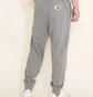 Штаны мужские The North Face Nsw Club Grey NF0A7WXI-I0D