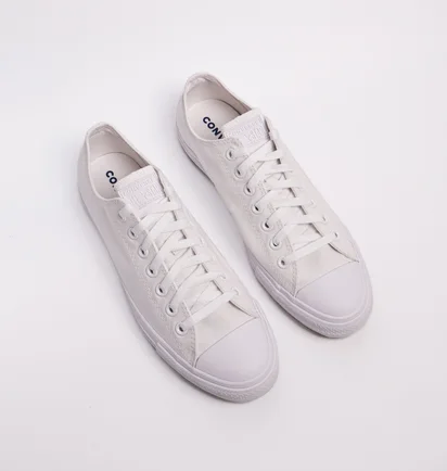 Кеды унисекс Converse Chuck Taylor All Star Mono Canvas Ox 1U647 White