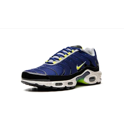 Кросівки чоловічі Nike Air Max Plus Blue DM0032-400