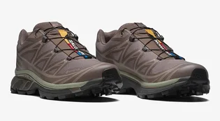 Кроссовки мужские Salomon Xt-6 Gtx Brown L47732600