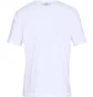 Футболка мужская Under Armour Team Issue Wordmark Ss White 1329582-100
