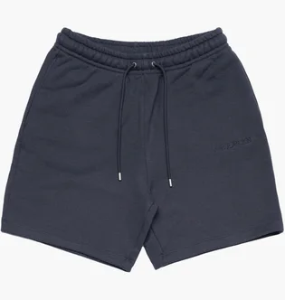 Шорты мужские Air Jordan Wordmark Fleece Short Blue FJ0700-045
