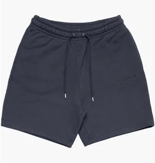 Шорты мужские Air Jordan Wordmark Fleece Short Blue FJ0700-045