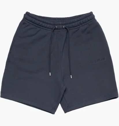Шорты мужские Air Jordan Wordmark Fleece Short Blue FJ0700-045
