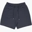 Шорты мужские Air Jordan Wordmark Fleece Short Blue FJ0700-045