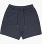 Шорты мужские Air Jordan Wordmark Fleece Short Blue FJ0700-045
