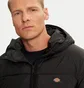 Куртка чоловіча Waldenburg Regular Fit Black DK0A4Y3XBLK