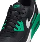 Кроссовки мужские Nike Air Max 90 Black DM0029-006