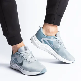 Кросівки чоловічі Nike Downshifter 12 Grey Dd9293-004