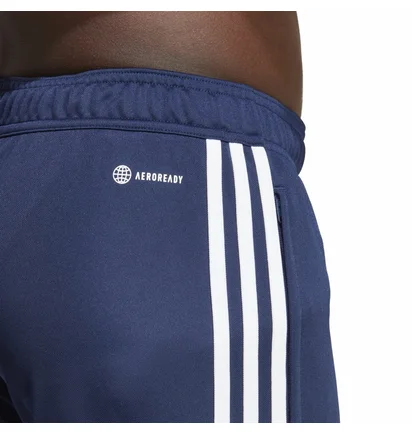 Штаны мужские Adidas Pants Tiro 23 Cb Tr Pnt Blue HZ0173