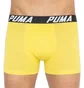 Трусы мужские Puma Yd Bold Stripe Boxer Multi (2 шт) 501002001-020