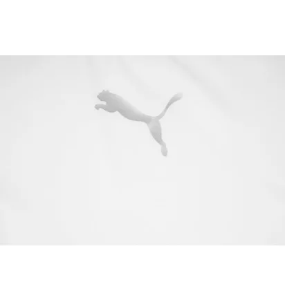 Лонгслив мужской Puma Liga Base Layer Ls Tee White 655920-04