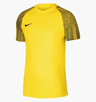 Футболка детская Nike Dri-Fit Academy Yellow DH8369-719