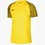Футболка детская Nike Dri-Fit Academy Yellow DH8369-719