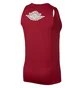 Майка мужская Air Jordan Breathe Ultimate Flight Bordo 887442-687