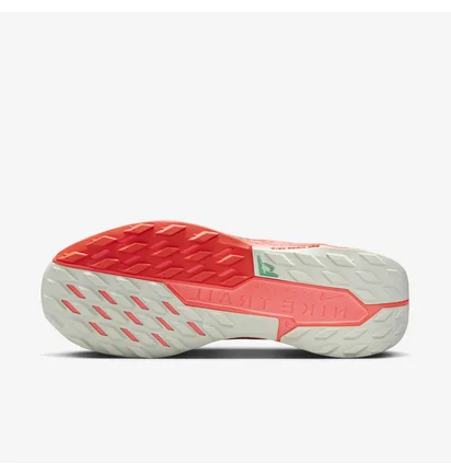 Кроссовки мужские Nike Pegasus Trail 5 Gtx Grey/Orange FQ0908-004