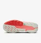 Кроссовки мужские Nike Pegasus Trail 5 Gtx Grey/Orange FQ0908-004