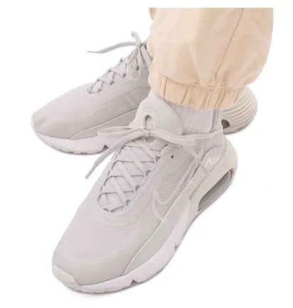 Кросівки жіночі Nike W Air Max 2090 Grey CZ3867-001