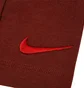 Шорты женские Nike Sportswear Everyday Modern High-Waisted Bike Shorts Bordo DQ6162-217