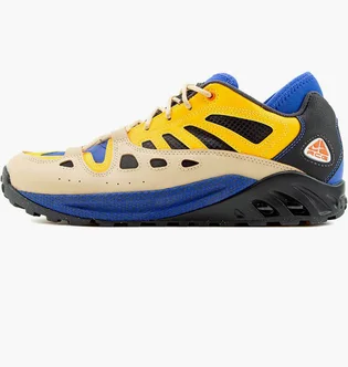 Кроссовки мужские Nike Acg Air Exploraid Hyper Royal Multi FJ1920-400