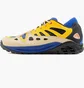 Кроссовки мужские Nike Acg Air Exploraid Hyper Royal Multi FJ1920-400