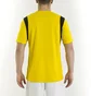 Футболка чоловіча Joma Dinamo Yellow 100446.900