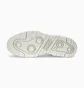 Кроссовки унисекс Puma Slipstream White 388549-02