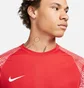 Футболка мужская Nike Dri-Fit Academy Red DH8031-657