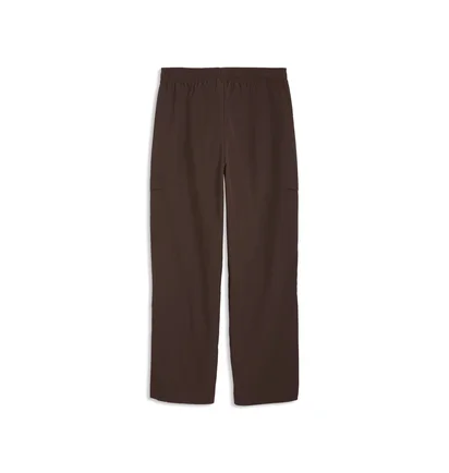 Штаны мужские Puma Wardrobe Ess Relaxed Brown 629653-31