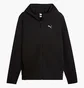 Толстовка мужская Puma Pumatech Black 692185-01