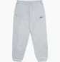 Штаны мужские Air Jordan J Awny Flc Grey FQ5445-091