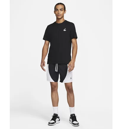 Шорти чоловічі Air Jordan M J Df Sprt Woven Short Black/White Dh9081-010