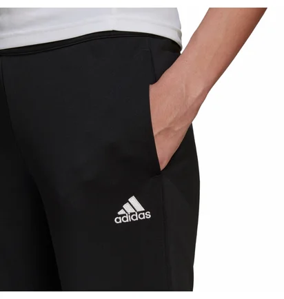 Штани жіночі Adidas Pants Ent22 Tr Pnt W Black HC0335