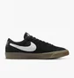 Кросівки унісекс Nike Sb Zoom Blazer Low Pro Gt Black Dc7695-004