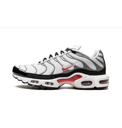 Кросівки чоловічі Nike Air Max Plus White/Grey DM0032-002