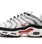 Кросівки чоловічі Nike Air Max Plus White/Grey DM0032-002