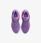 Кроссовки мужские Nike Immortality 4 Violet FQ3680-500