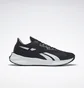Кросівки чоловічі Reebok Floatride Energy Symmetros 2 Black Gw7197