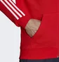 Толстовка мужская Adidas Fc Bayern Dna Full-Zip Hoodie Red Hf1356